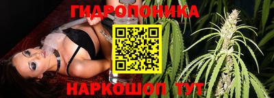 эйфоретик Нарткала