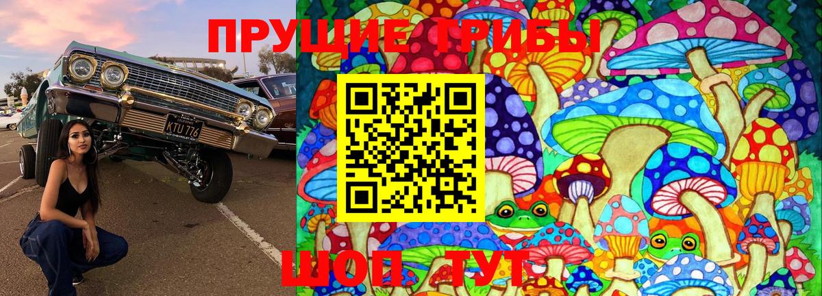 Галлюциногенные грибы Psilocybine cubensis Чита