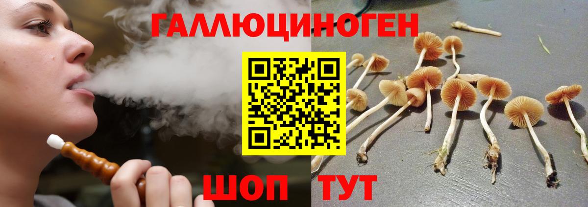 Псилоцибиновые грибы мухоморы  Вход с VPN  Чита  Галлюциногенные грибы Psilocybine cubensis 